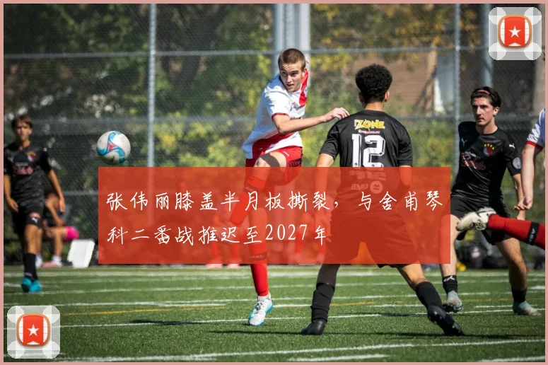 张伟丽膝盖半月板撕裂，与舍甫琴科二番战推迟至2027年