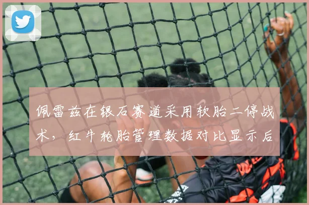 佩雷兹在银石赛道采用软胎二停战术,红牛轮胎管理数据对比显示后段优势明显